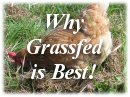 Why Grass-fed is Best!