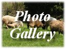 Visit our Photo Gallery